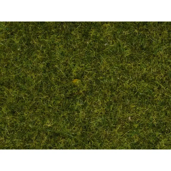 2026_07_21_212231